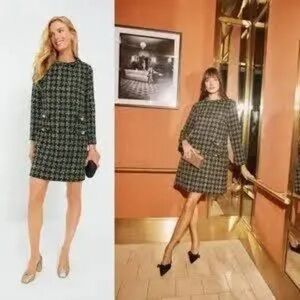 Chic Long Sleeve Dress